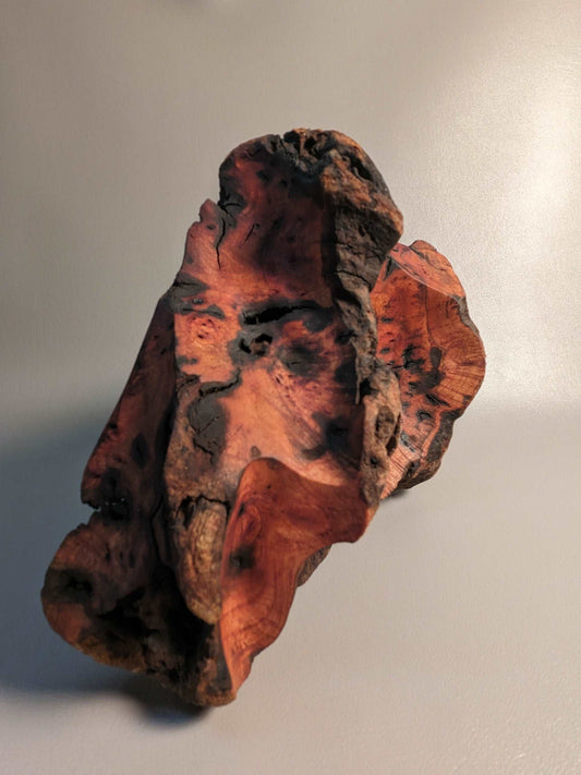 Abstract Driftwood Sculpture