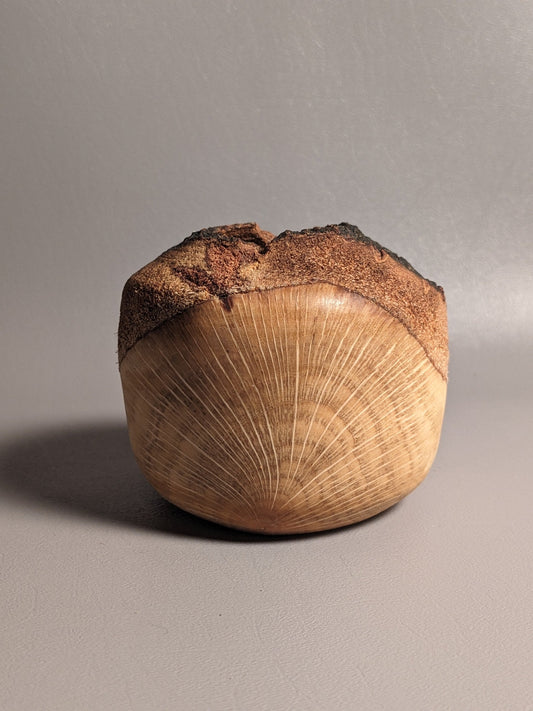 Live Edge Oak Wobble