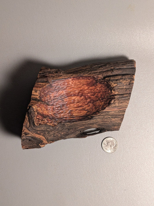 Cypress Chunk Bowl 4