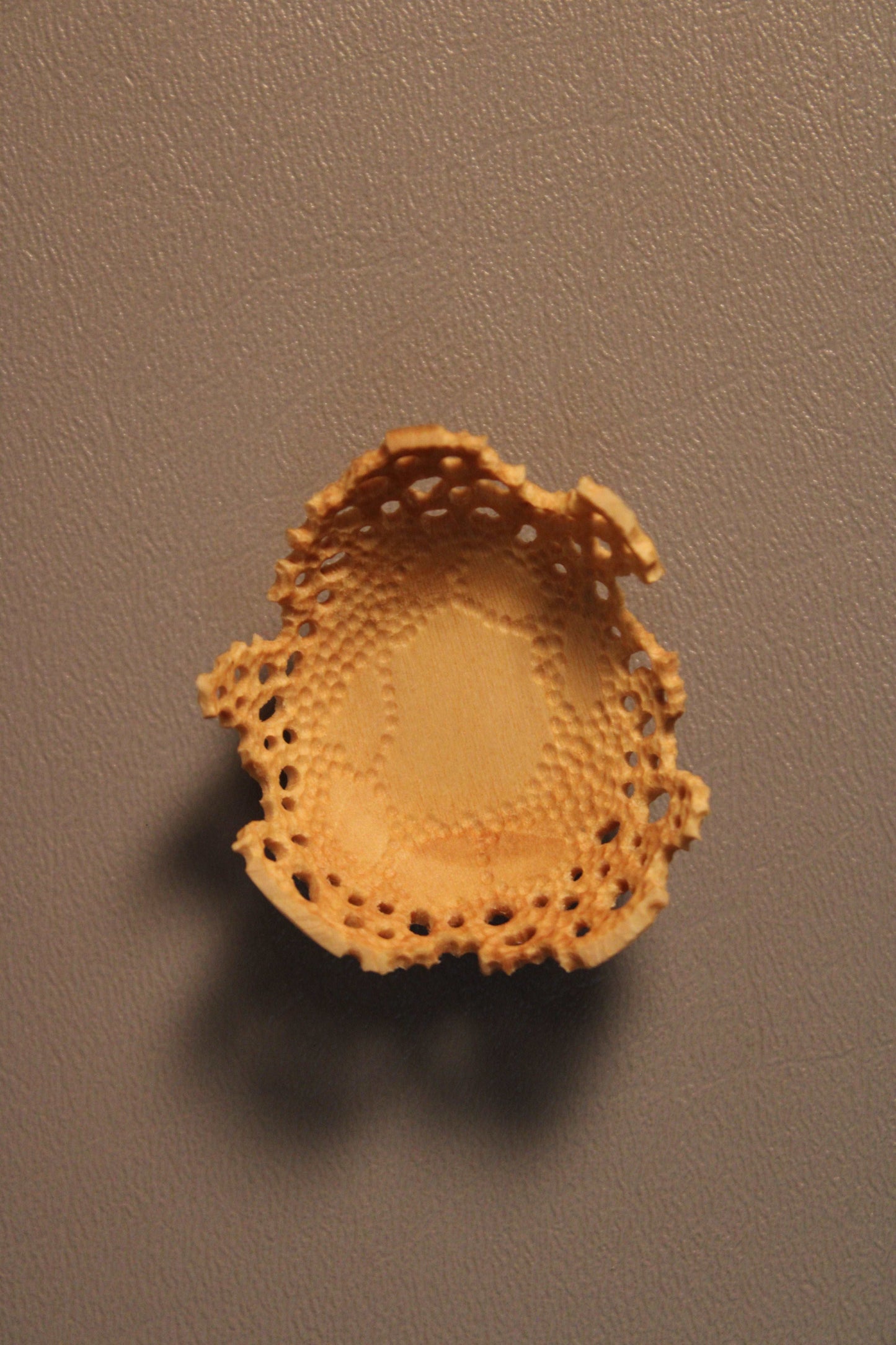 Lacey Erosion