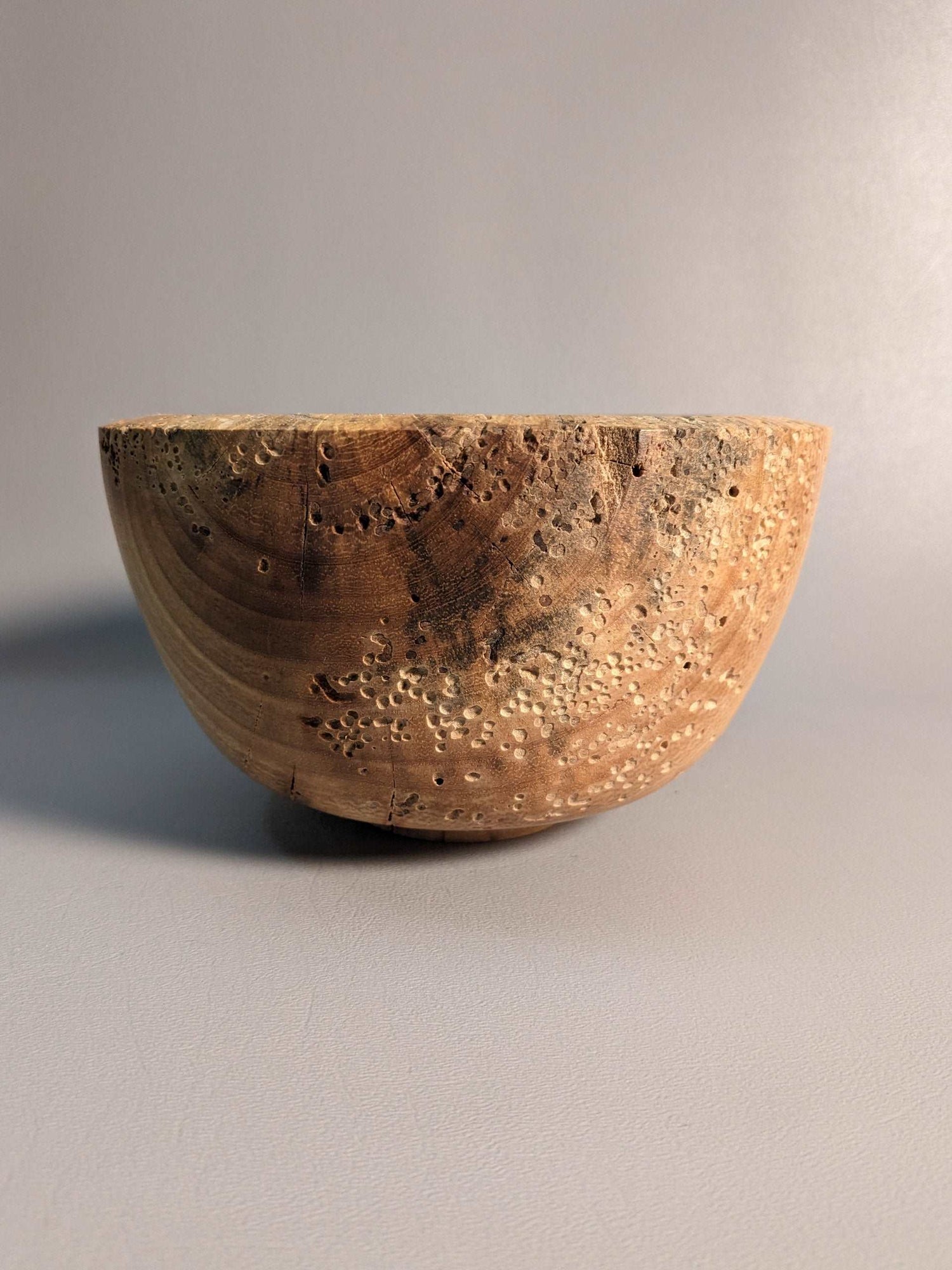 Critter Bowl 1