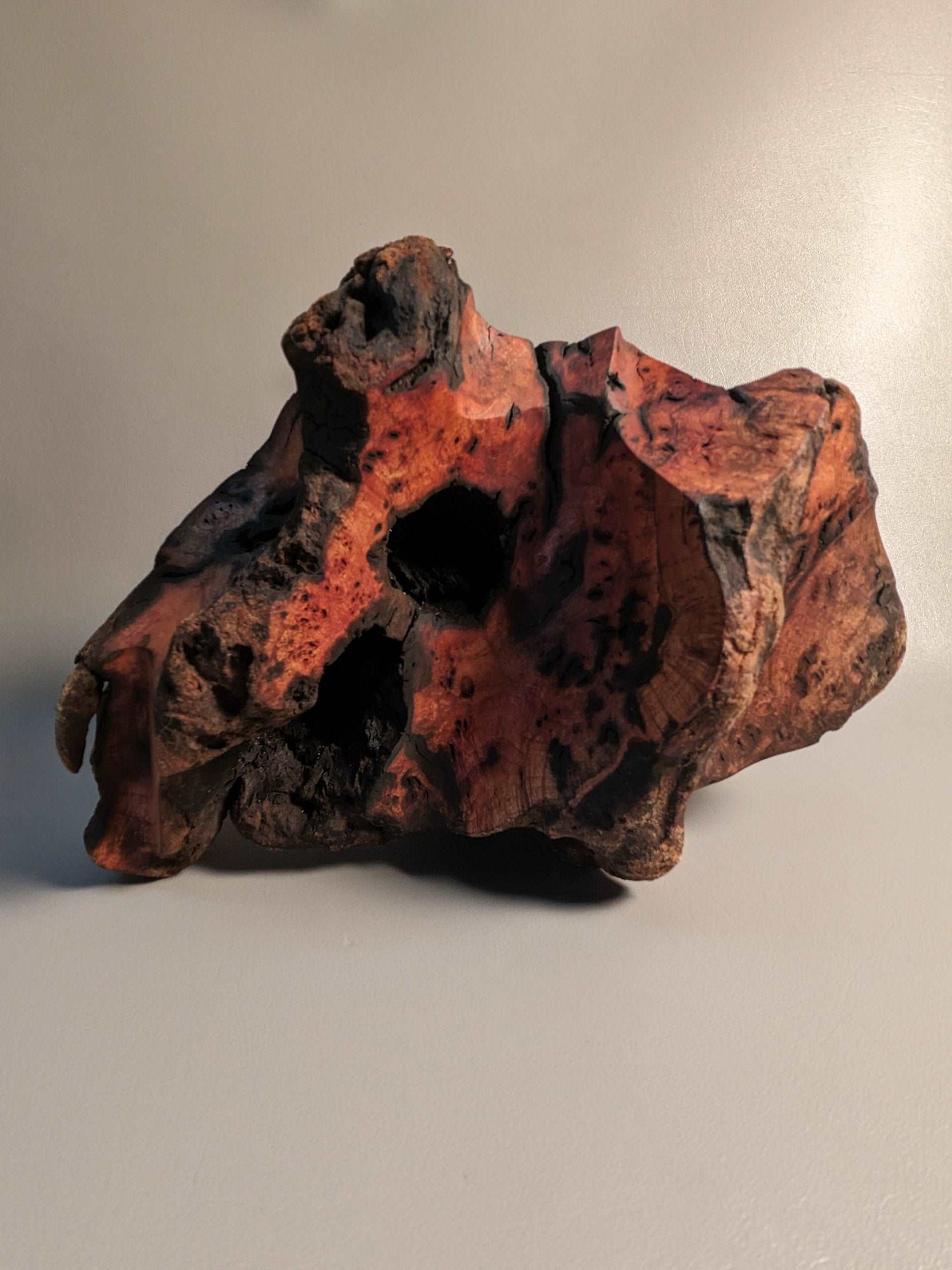 Abstract Driftwood Sculpture