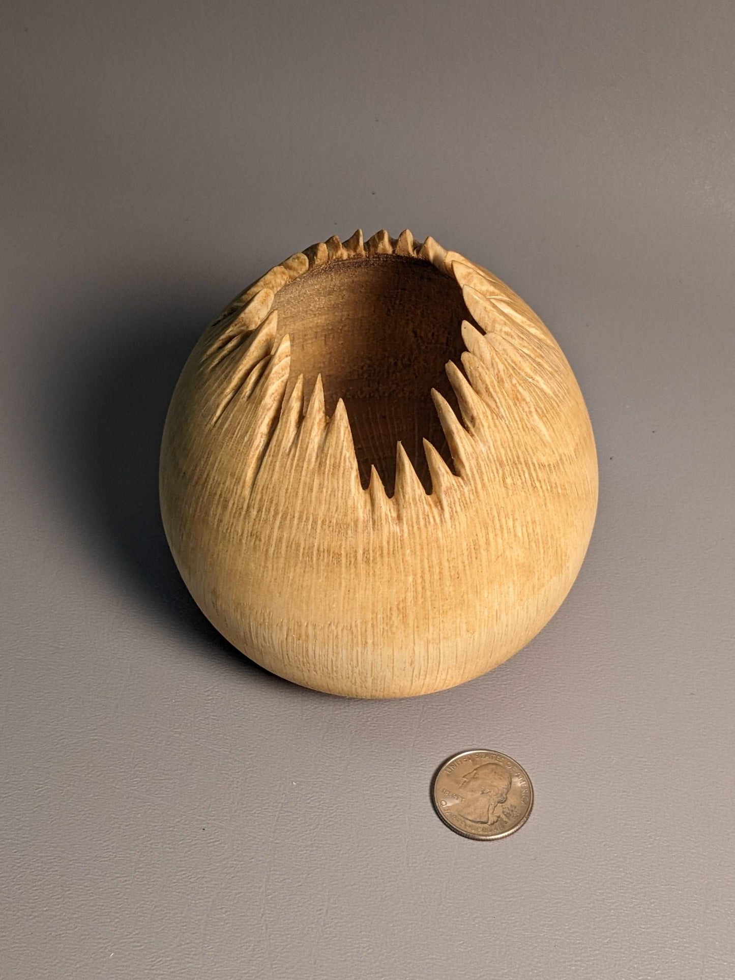 Spiky Oak Hollow Form