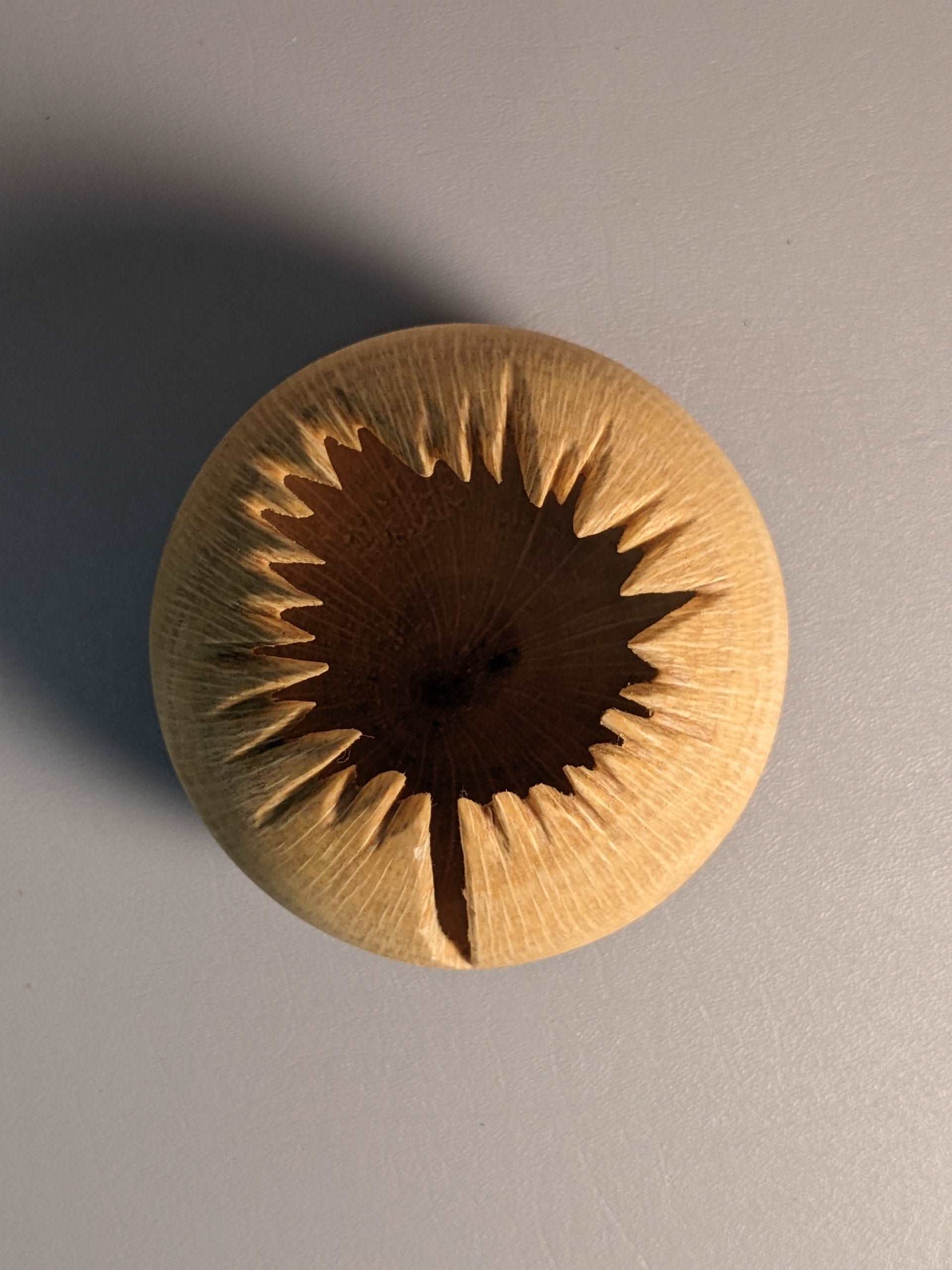 Spiky Oak Hollow Form
