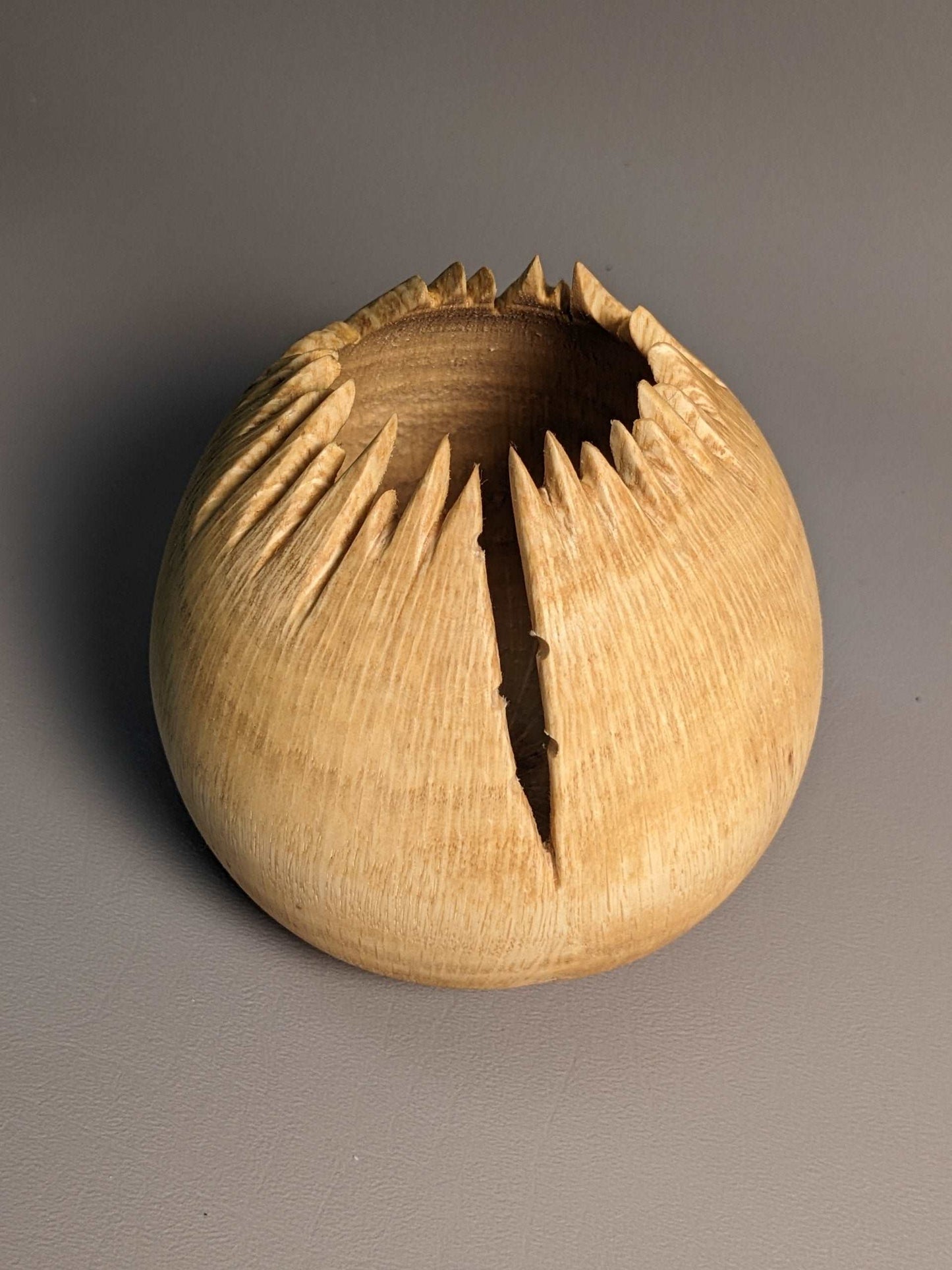 Spiky Oak Hollow Form