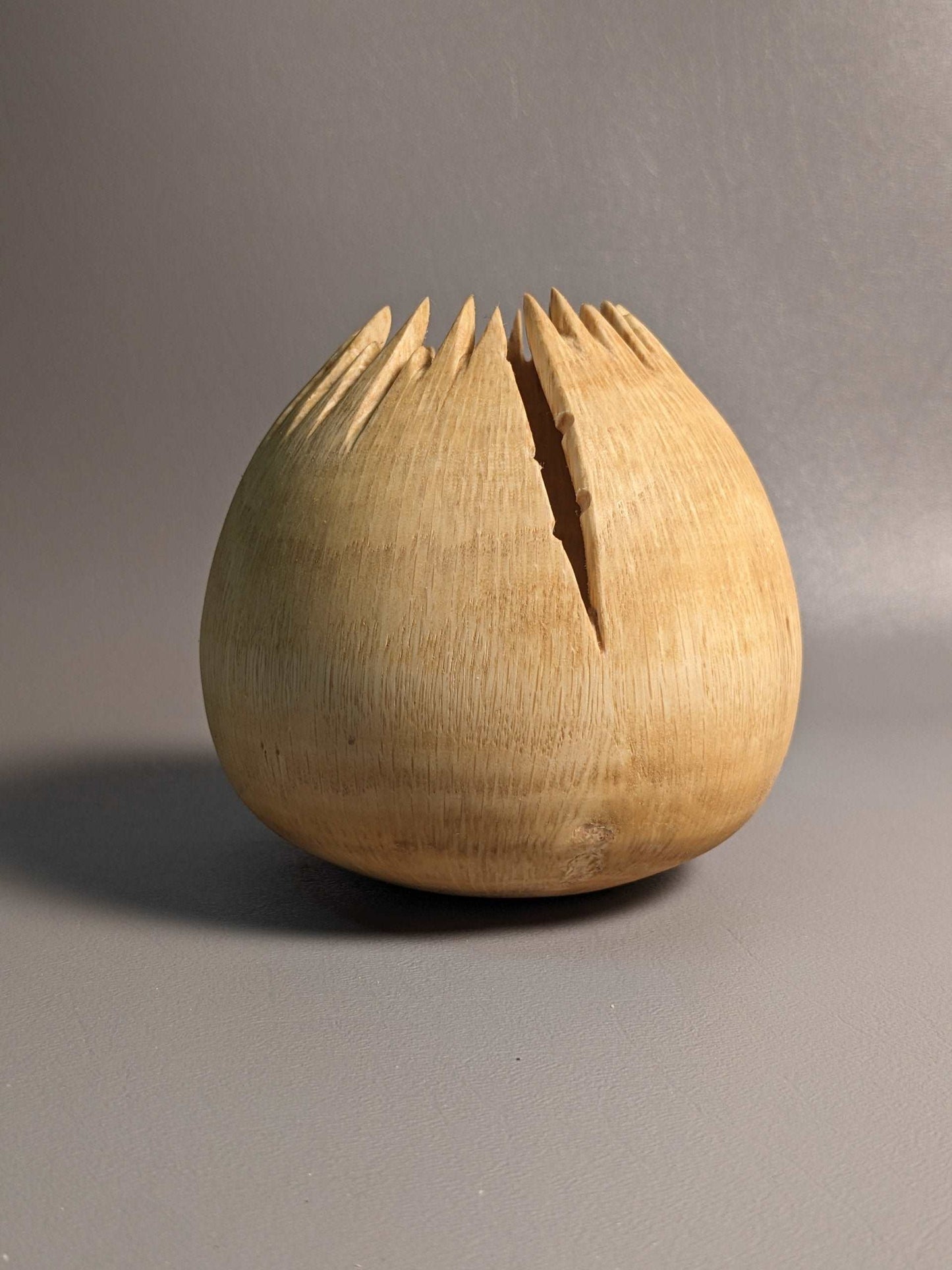 Spiky Oak Hollow Form