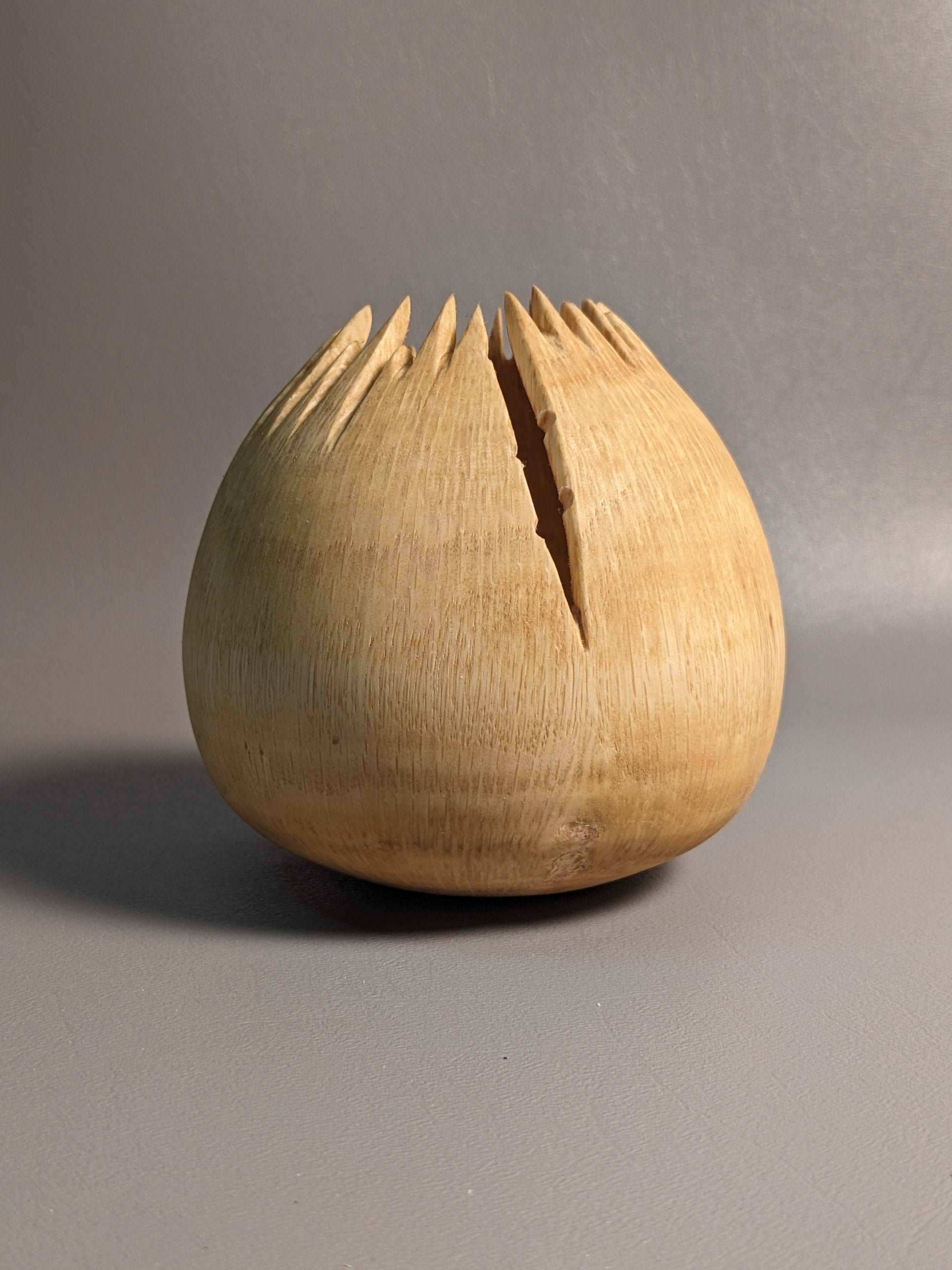 Spiky Oak Hollow Form
