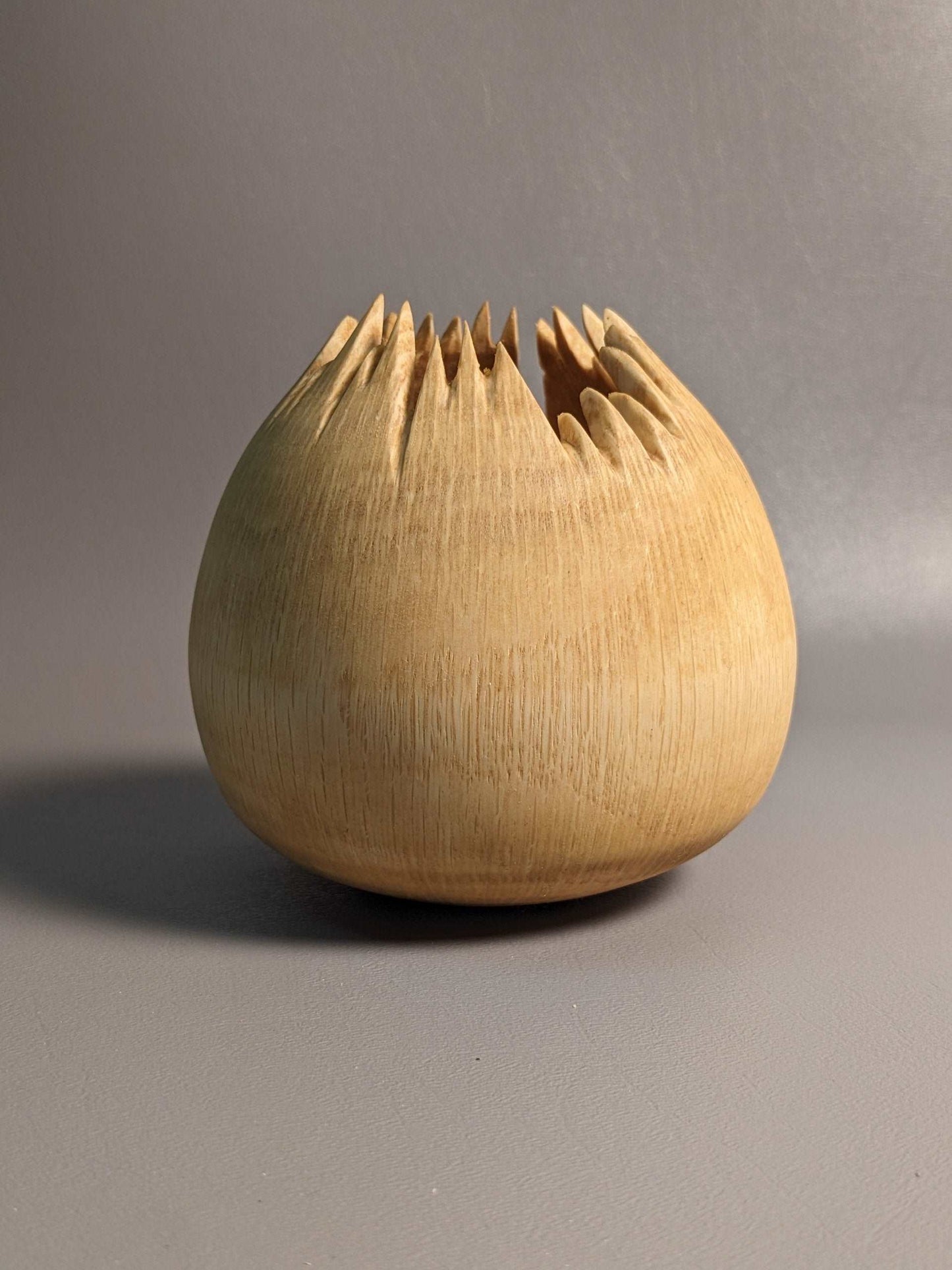 Spiky Oak Hollow Form