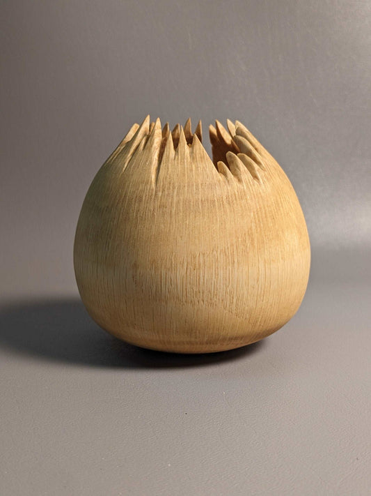 Spiky Oak Hollow Form