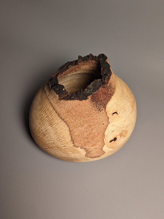 Live Edge Oak Hollow Form