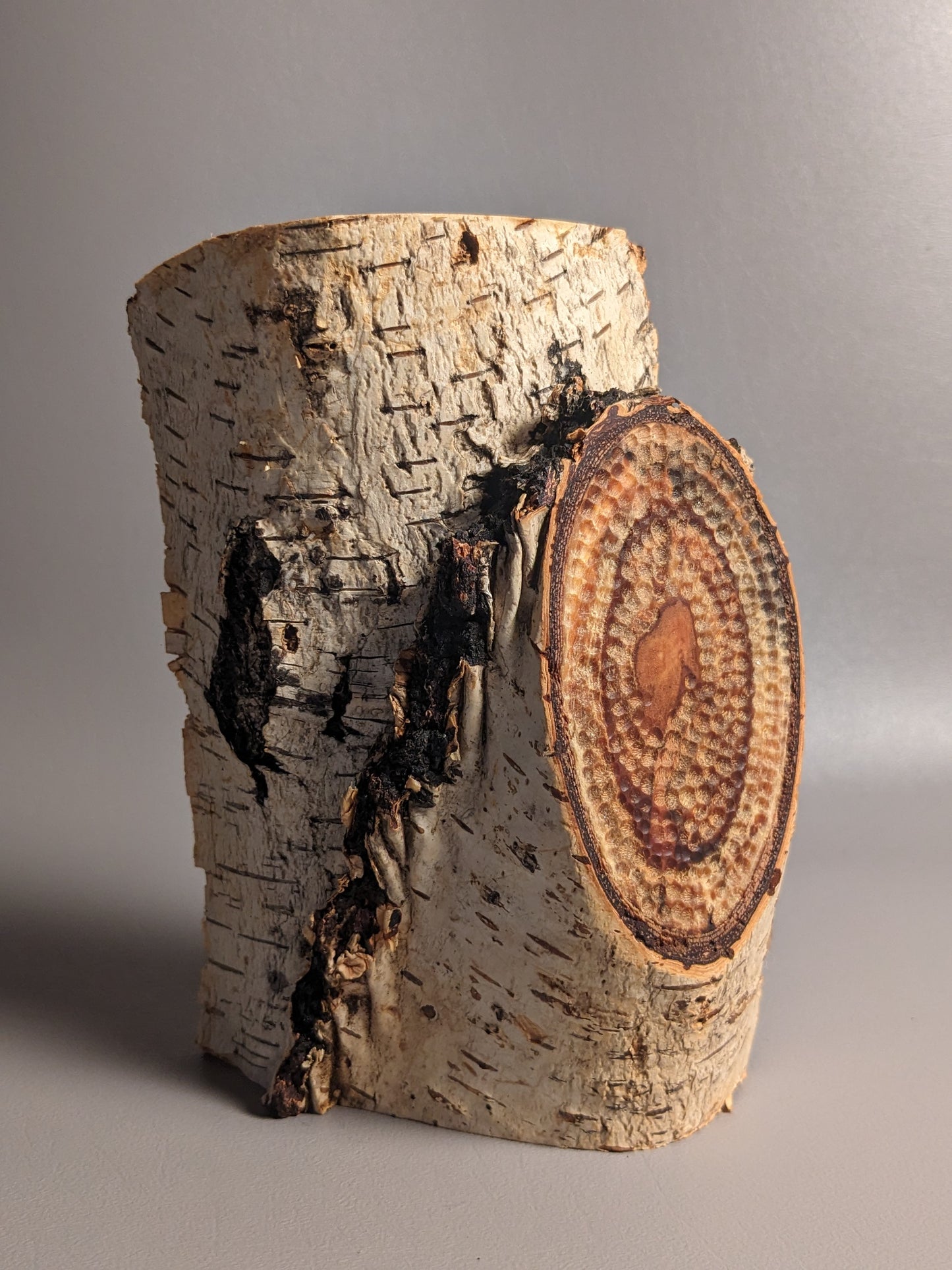 Spalted Birch Organic Flow