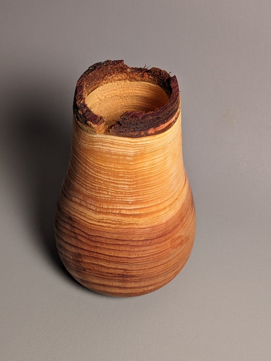 Live Edge Cedar Vessel 2