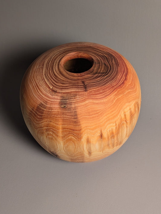 Cedar Hollow Form