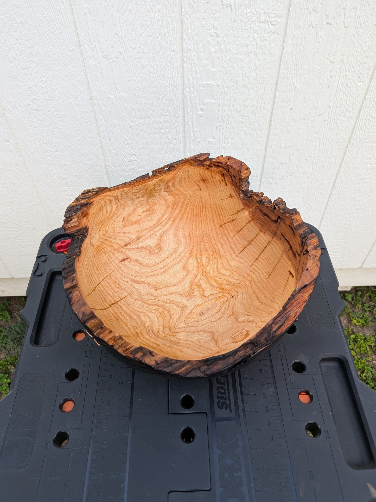 Burnt Big Ash Bowl