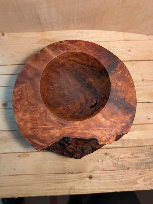 Redwood Burl Bowl