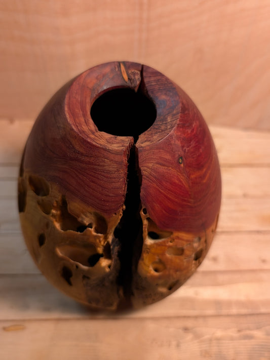 Juniper Hollow Form 1
