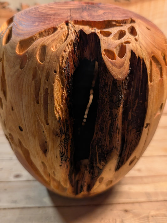 Juniper Hollow Form 2