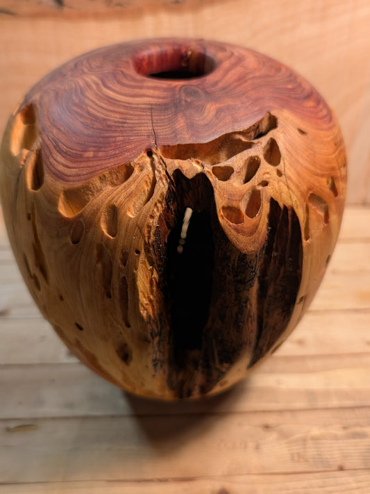 Juniper Hollow Form 2